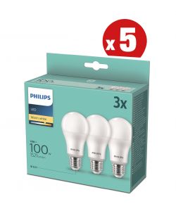 SET 5X3 LAMPADINE LED PHILIPS 100W, E27